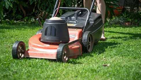 Lorem Ipsum Dolor Sit Amet Consectur Adenscing Ut 