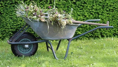 Lorem Ipsum Dolor Sit Amet Consectur Adenscing Ut 