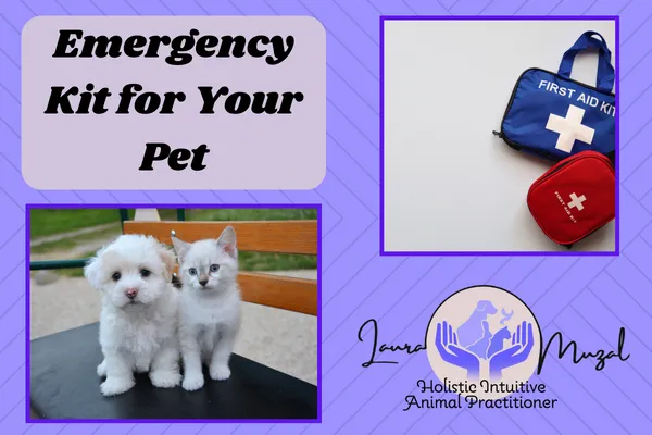 Emergency Kit for Your Pet