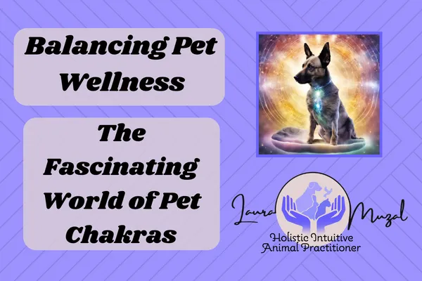 Balancing Pet Wellness: The Fascinating World of Pet Chakras