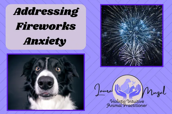 Firework Anxiety