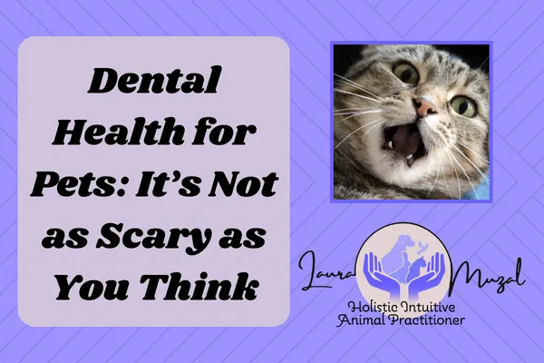 Dental Health for Pets: It's Not as Scary as You Might Think