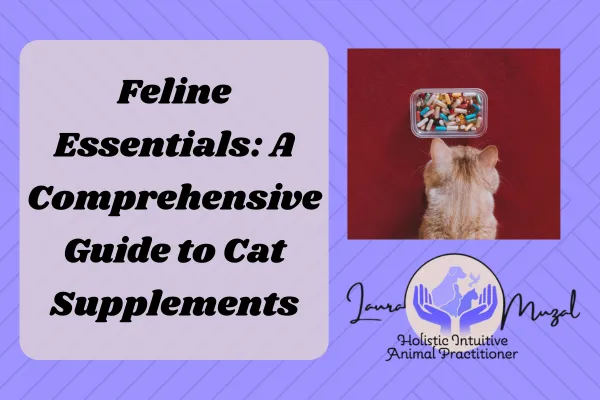 Feline Essentials: A Comprehensive Guide to Cat Supplements