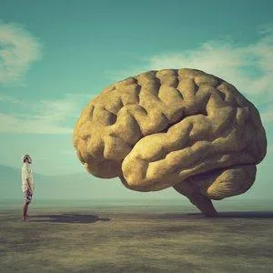 Knowledge For Granted