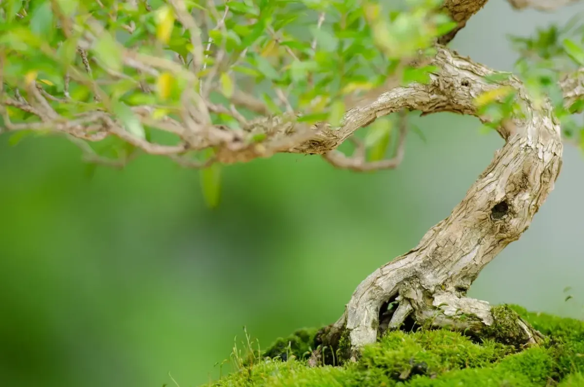 When Growth Isn't Linear: What One Leadership Assessment Revealed