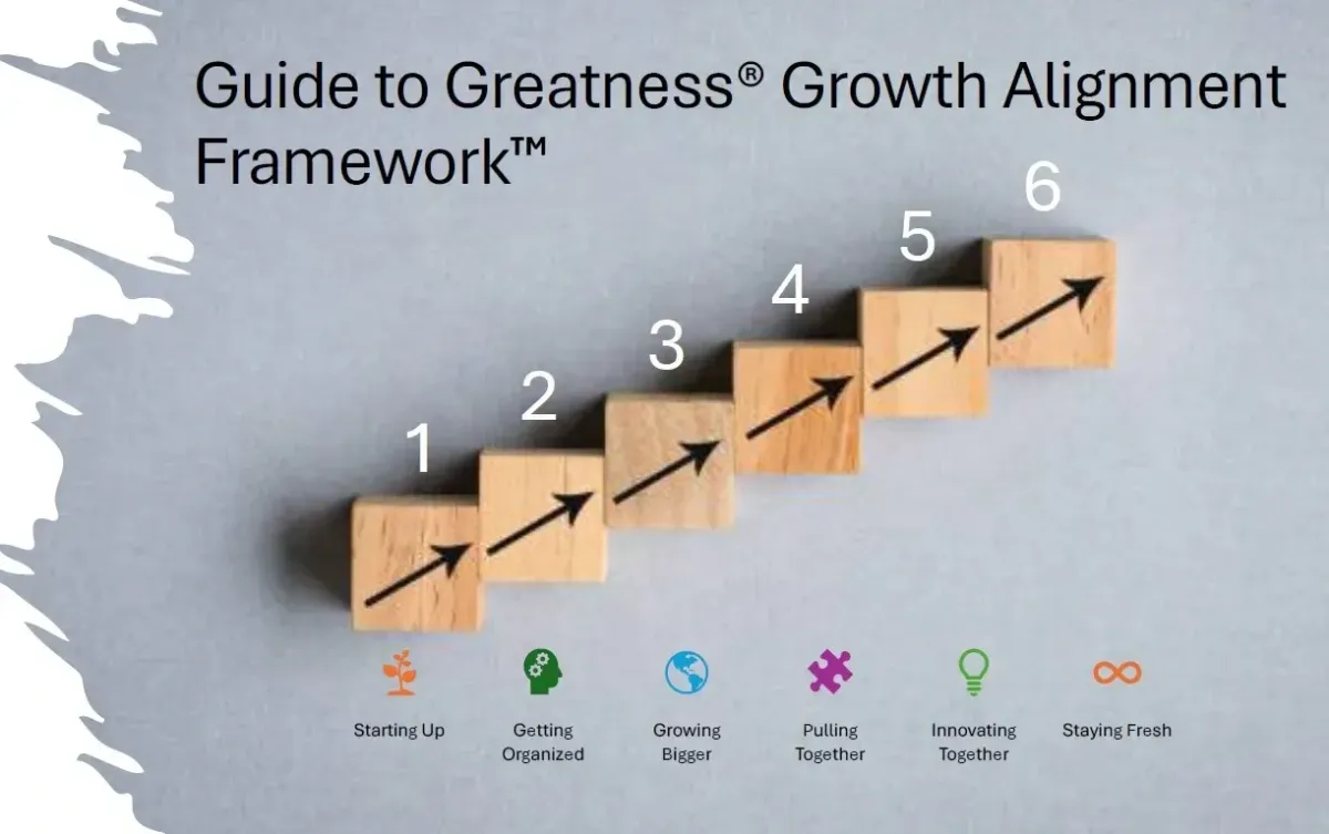 Why Maturity—Not Revenue—Is the Real Measure of Business Growth