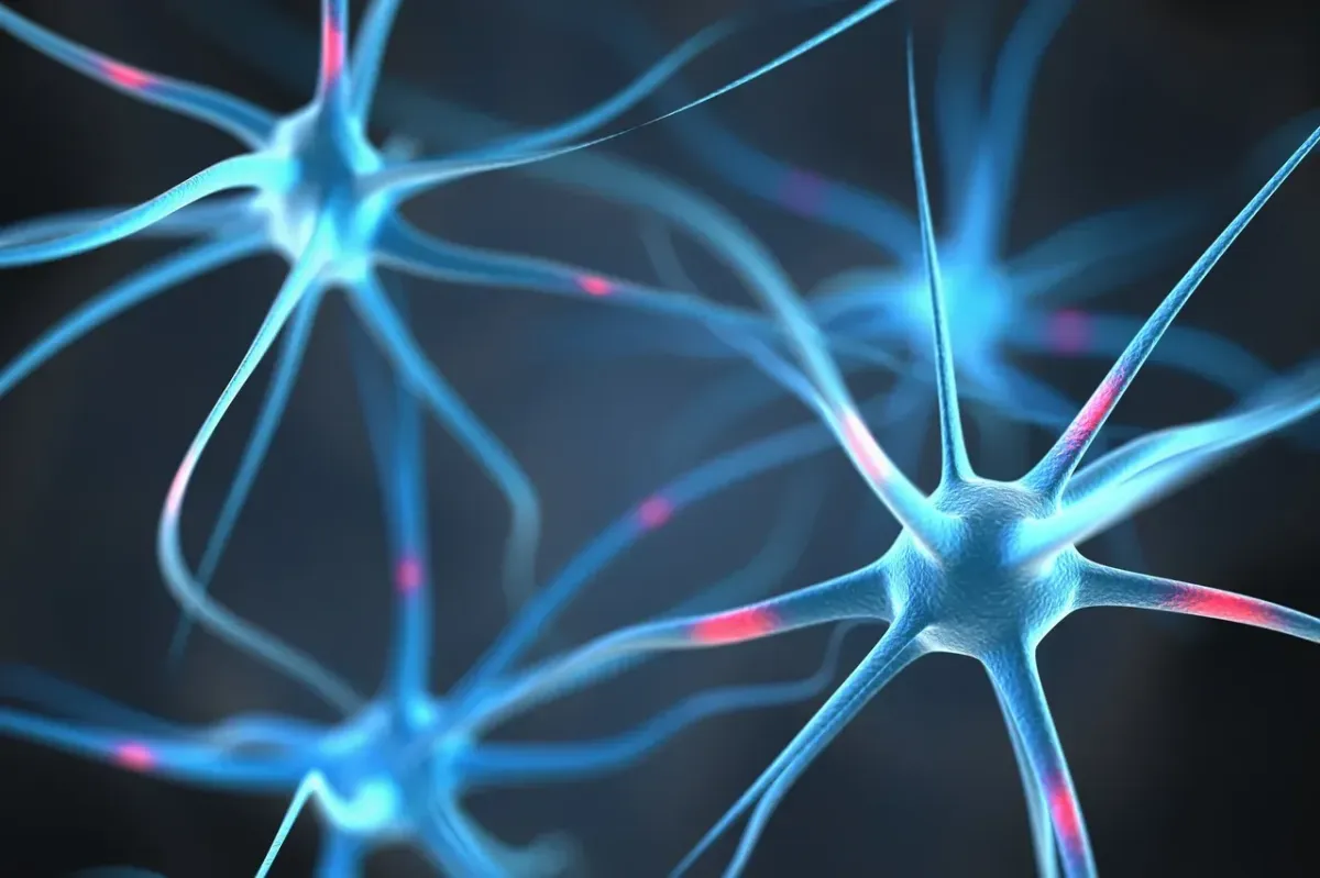 The AVTAR™ Model: How Value Turns Awareness into Action
