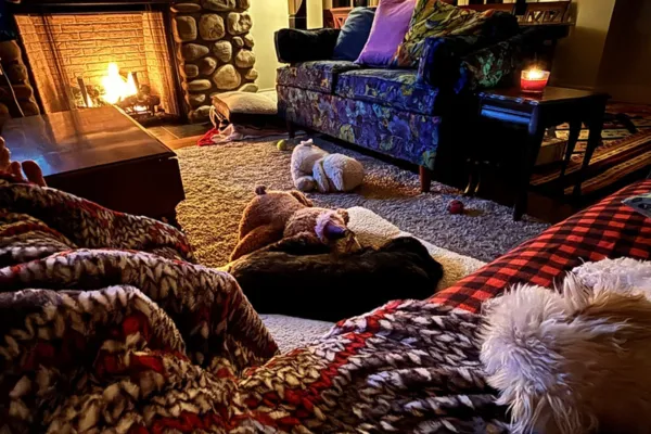 Happiness After Divorce: Why Peace Matters More Than Pretending You’re Fine