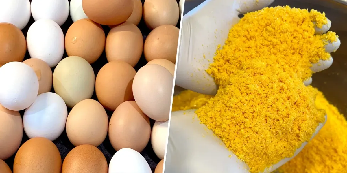 freeze dried eggs