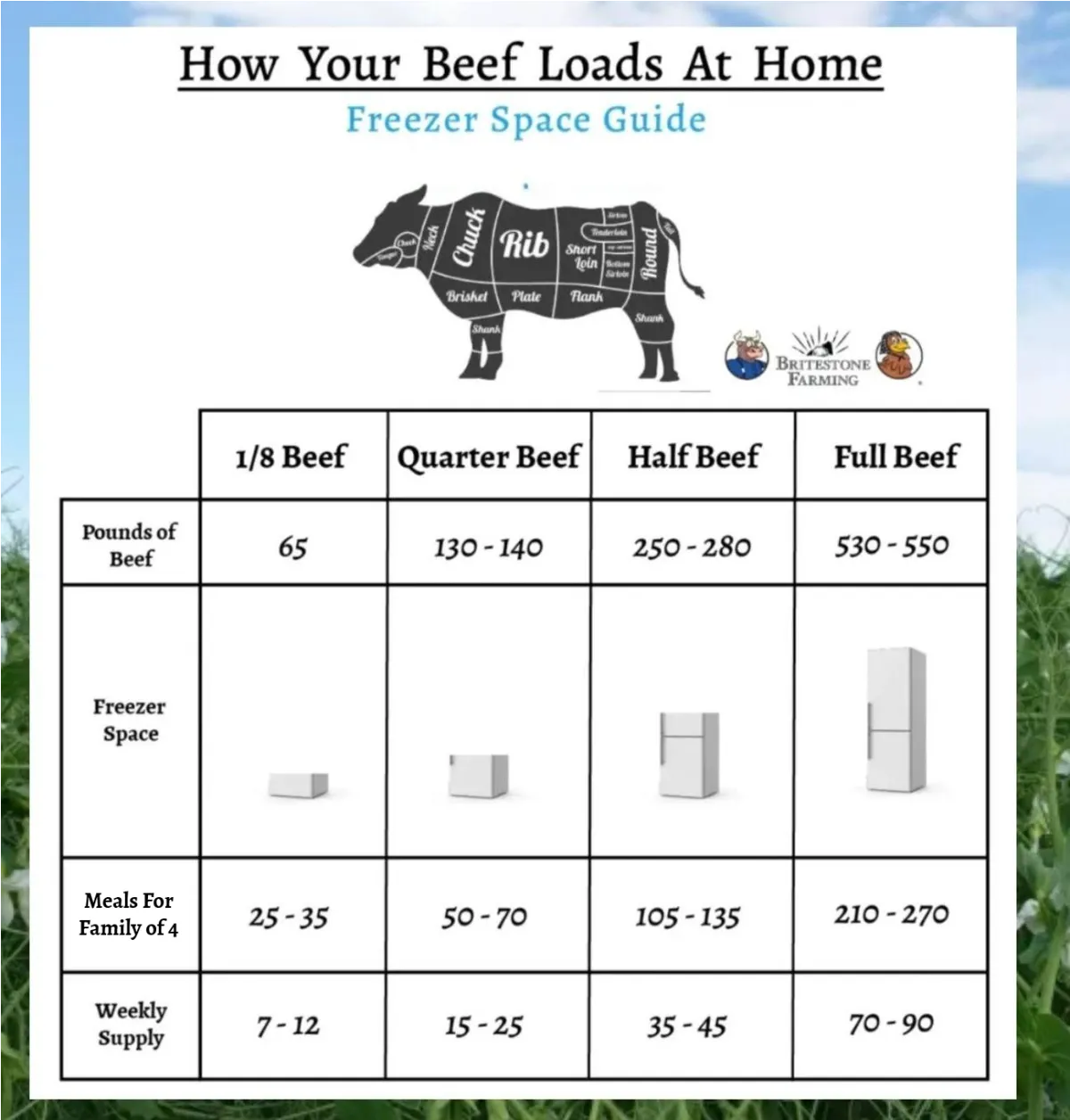 Bulk Beef