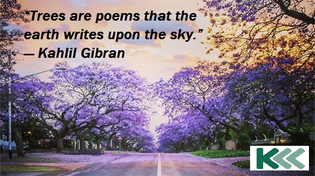 KVV note from director