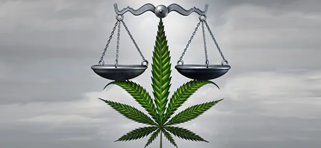Dagga – Just How Legal is it Now?