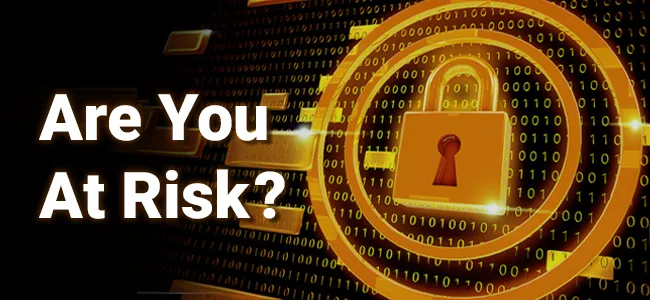 website of the month