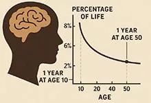 Why Every Year Feels Shorter Than The Rest
