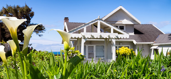 Selling Property this Festive Season? 3 Tips for a Smooth Transfer