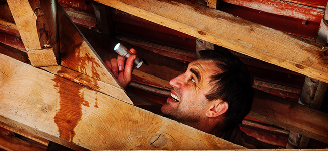 Selling Your House: Disclosing Defects