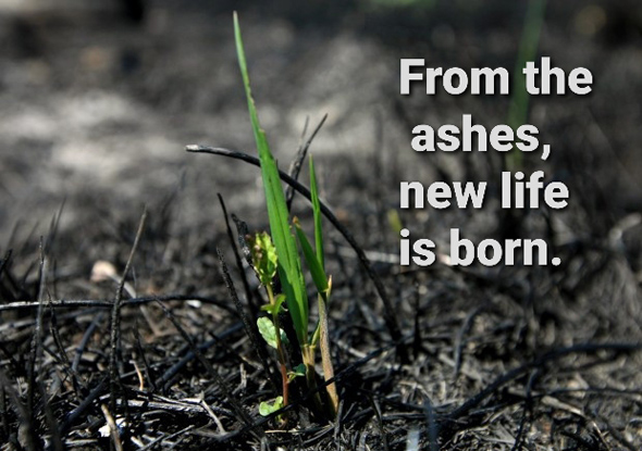 KVV note from director