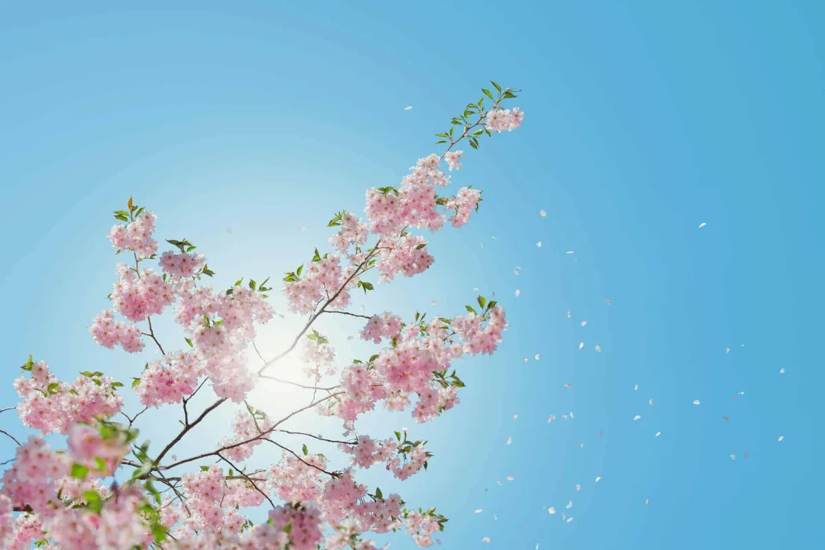 9 Ways to Stay Positive When Times are Hard