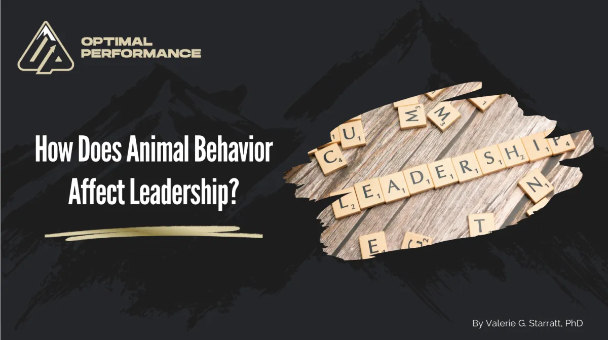 How Does Animal Behavior Affect Leadership?