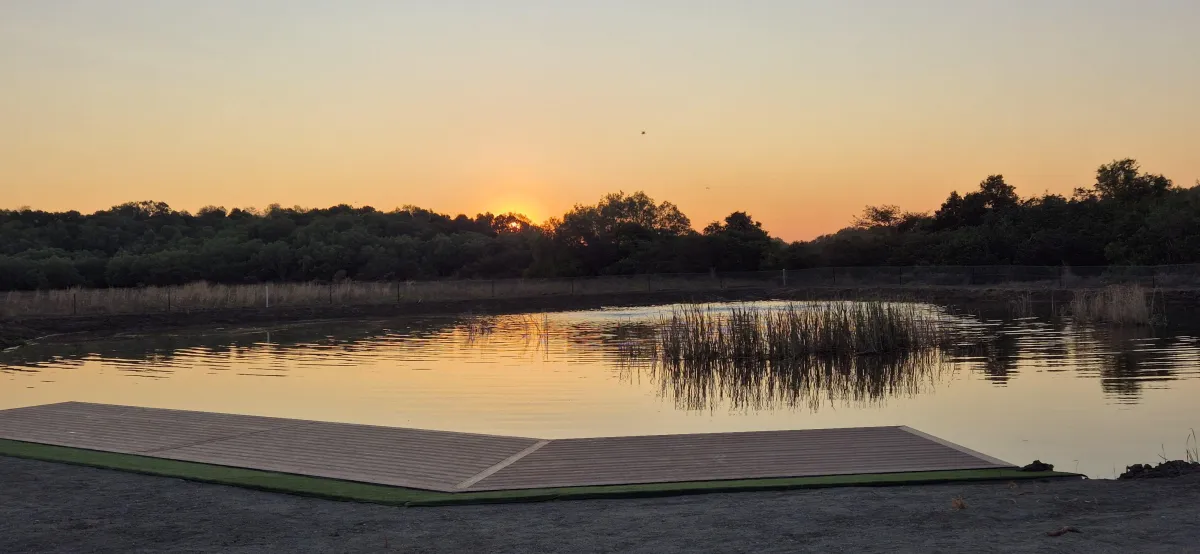 Barramundi land fishing pontoon