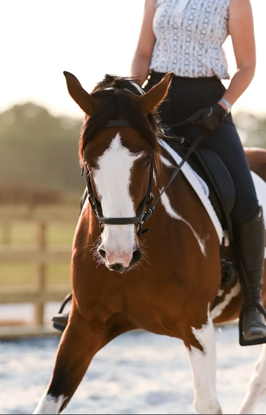 A rider leg yields a paint horse