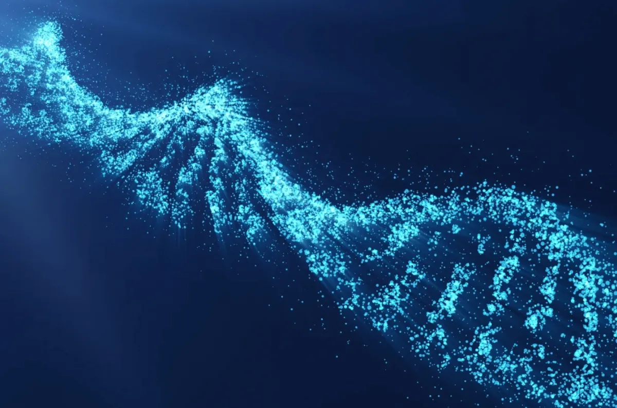 DNA