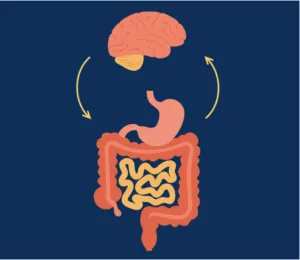 connection showed between the brain and GI tract