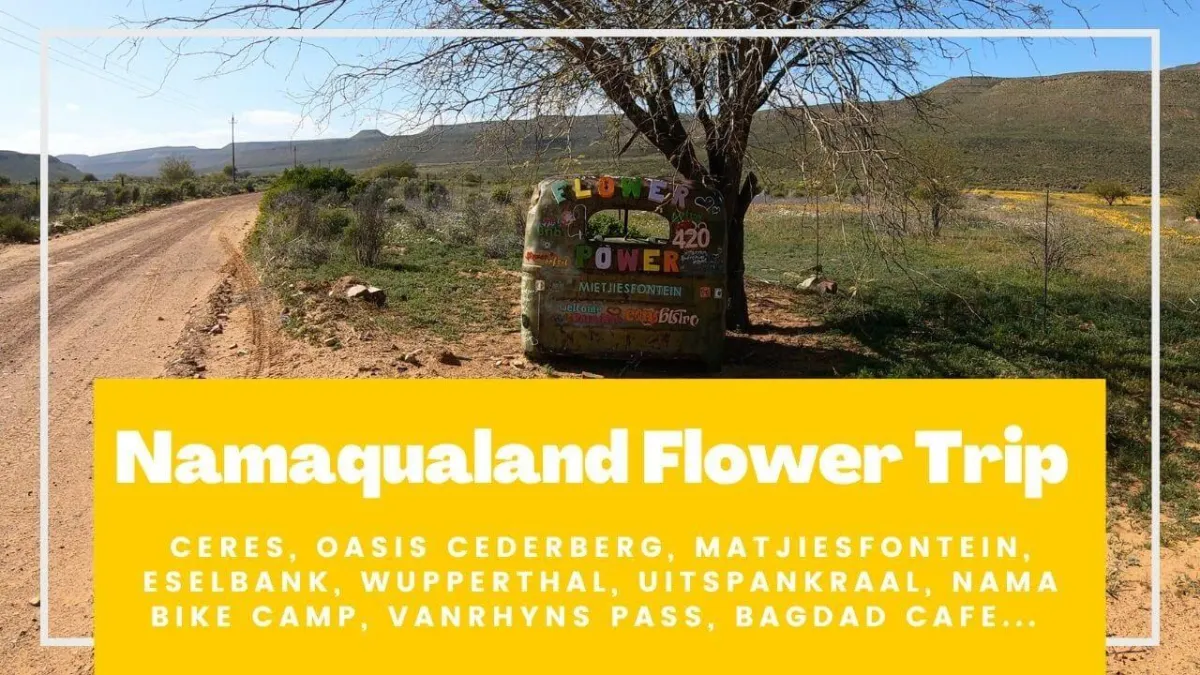 Nama Flower Trip 2022