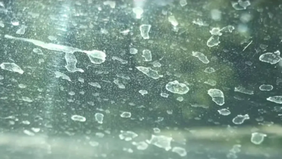 Washing Your Car with Tap Water May Be Damaging Your Paint