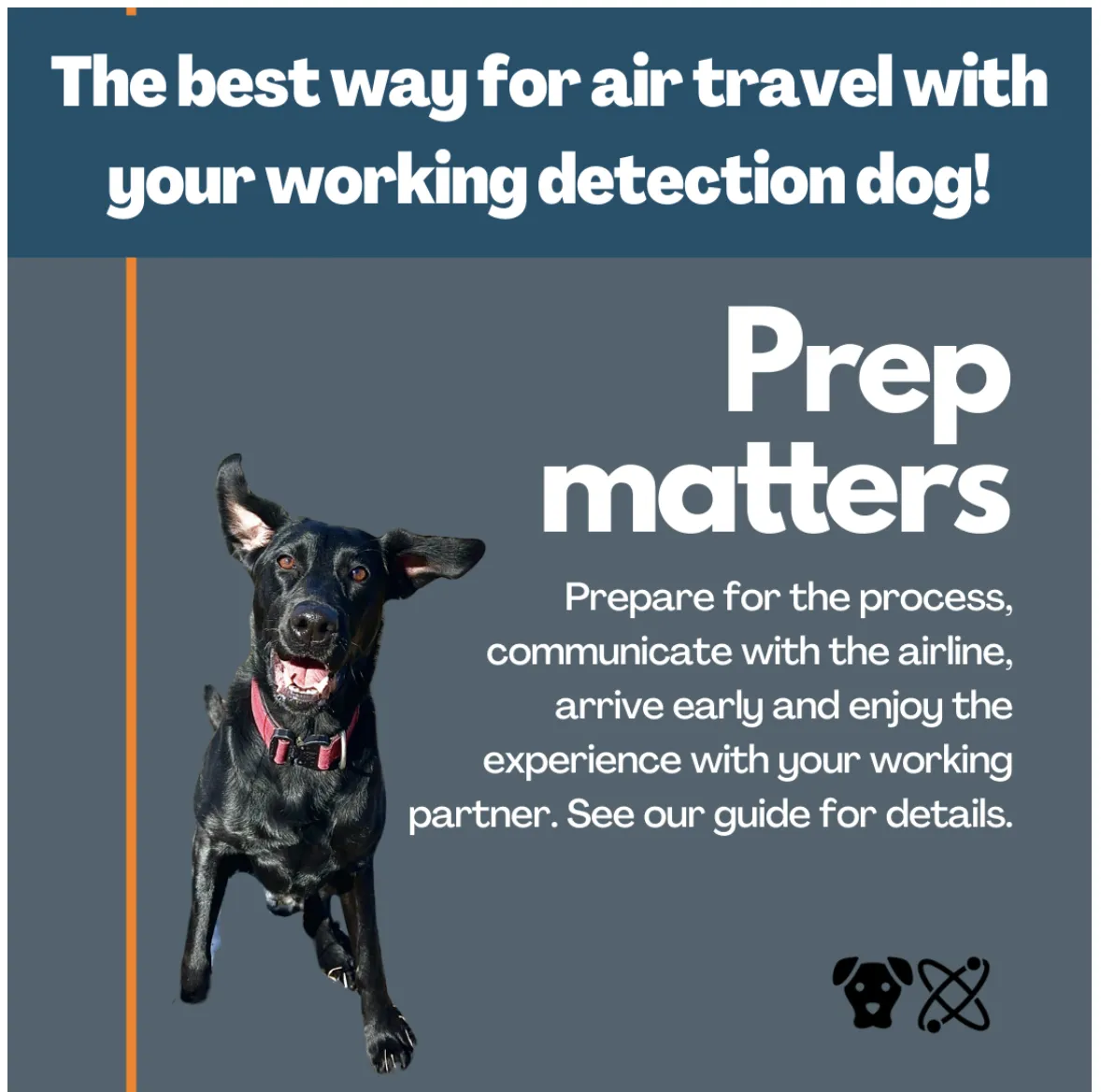 "12 Tips for Traveling by Air with Your Working Detection Dog"