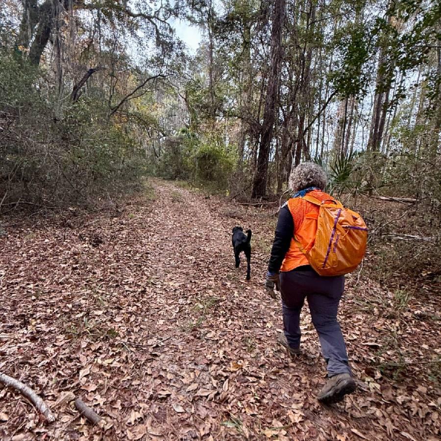 Walking in the woods with my dog