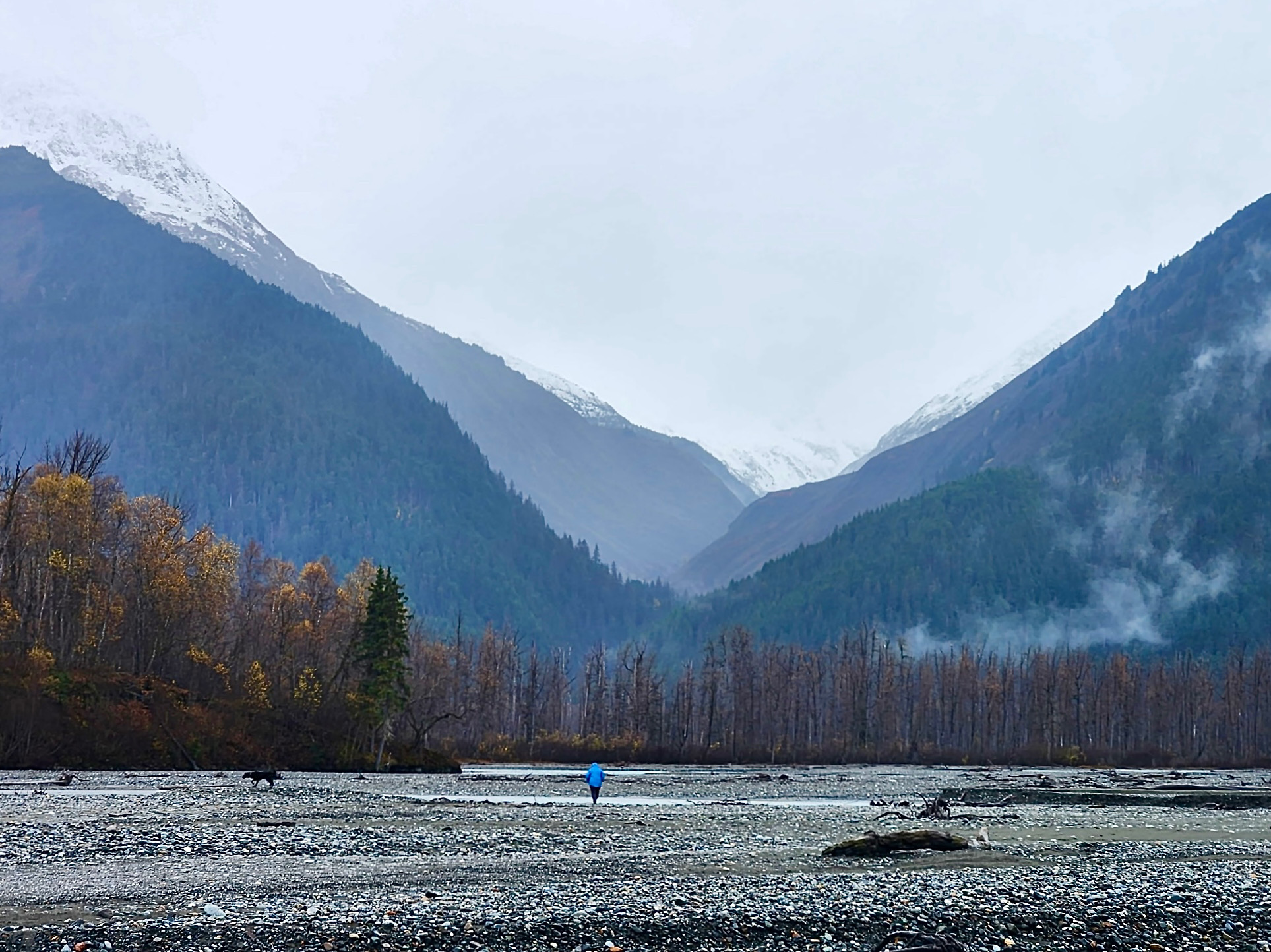 What Are We Doing Here?