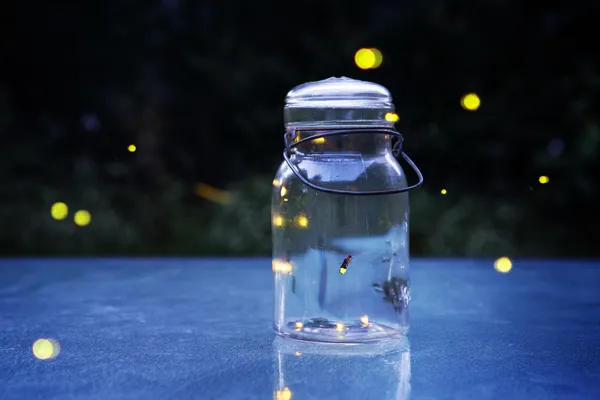 Chasing Fireflies: Finding Light in the Dark Seasons | Building Resilience Through Grief and Change