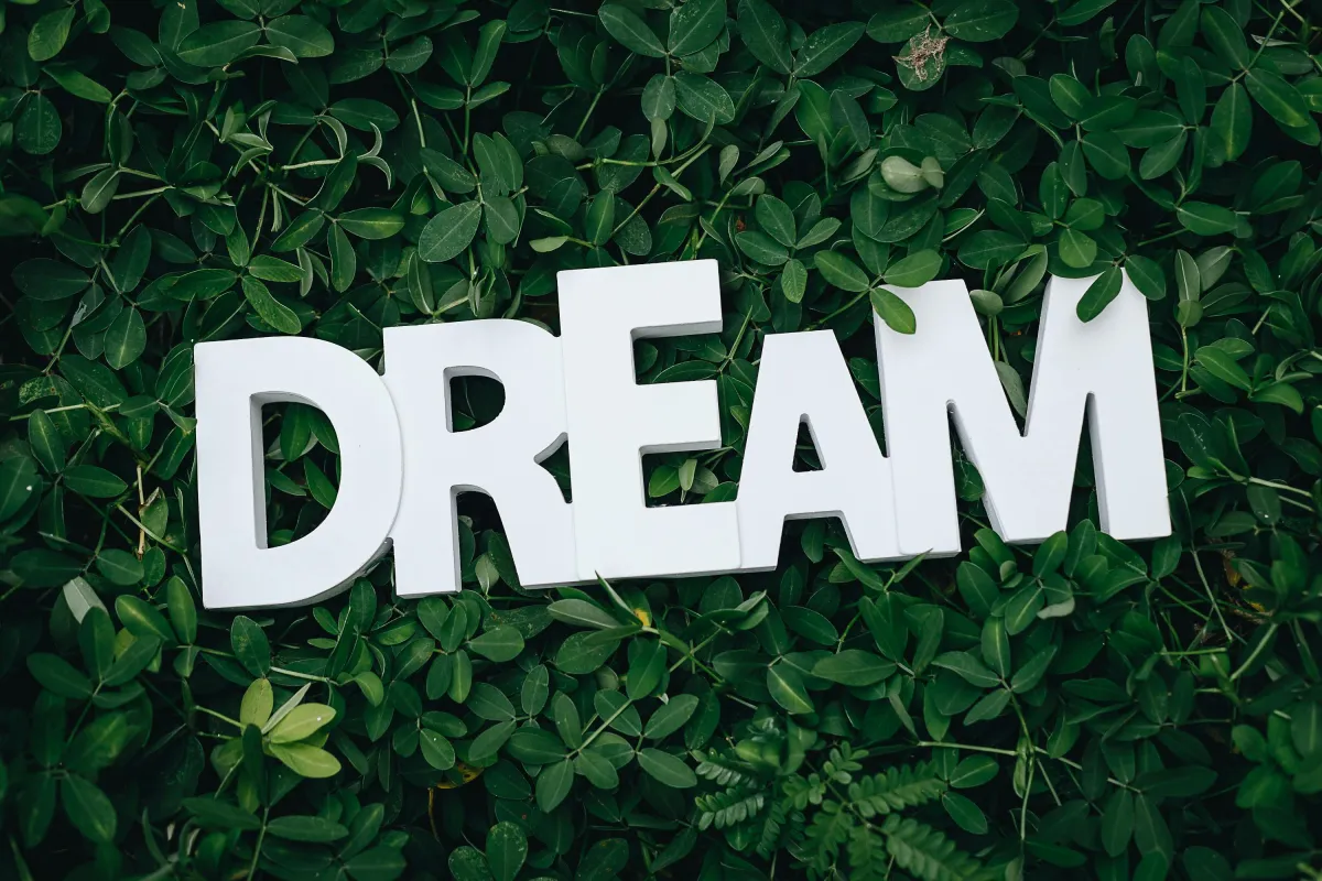 Still Not Chasing That Dream? Here’s the Real Reason