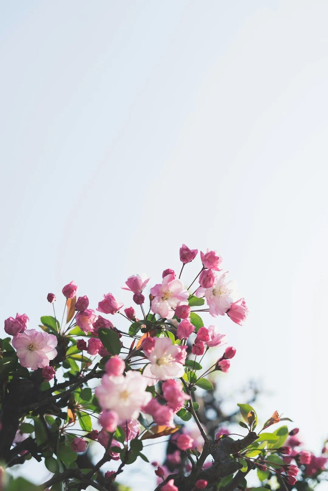 From Pain to Purpose: A Caregiver's Journey