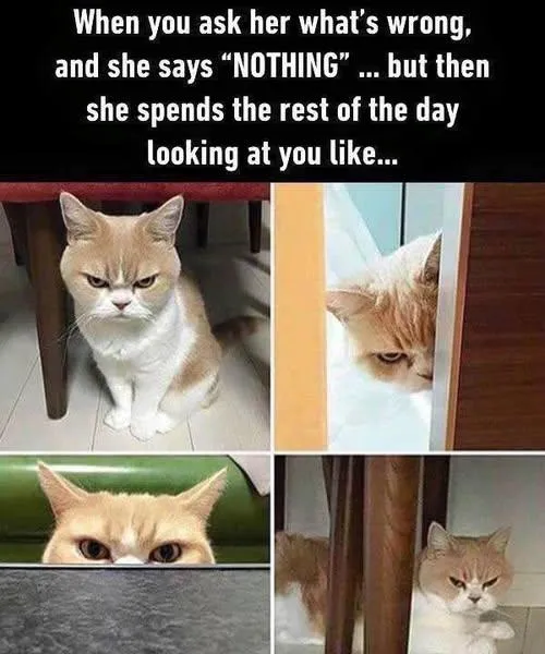 WHATS WRONG