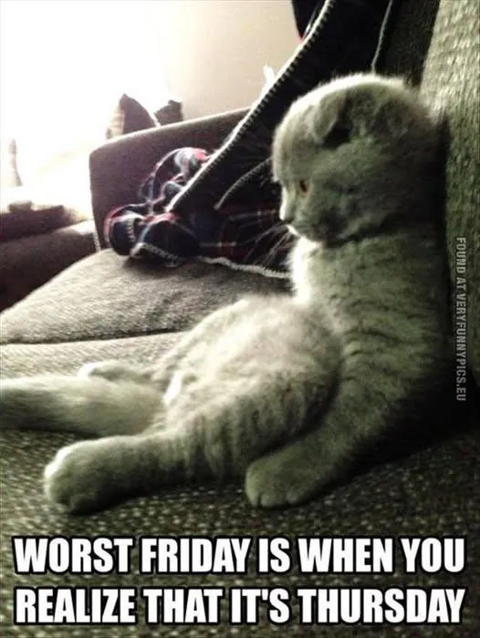 NOT FRIDAY