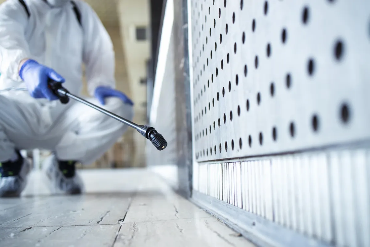 How to Choose the Right Pest Control Company in Miami