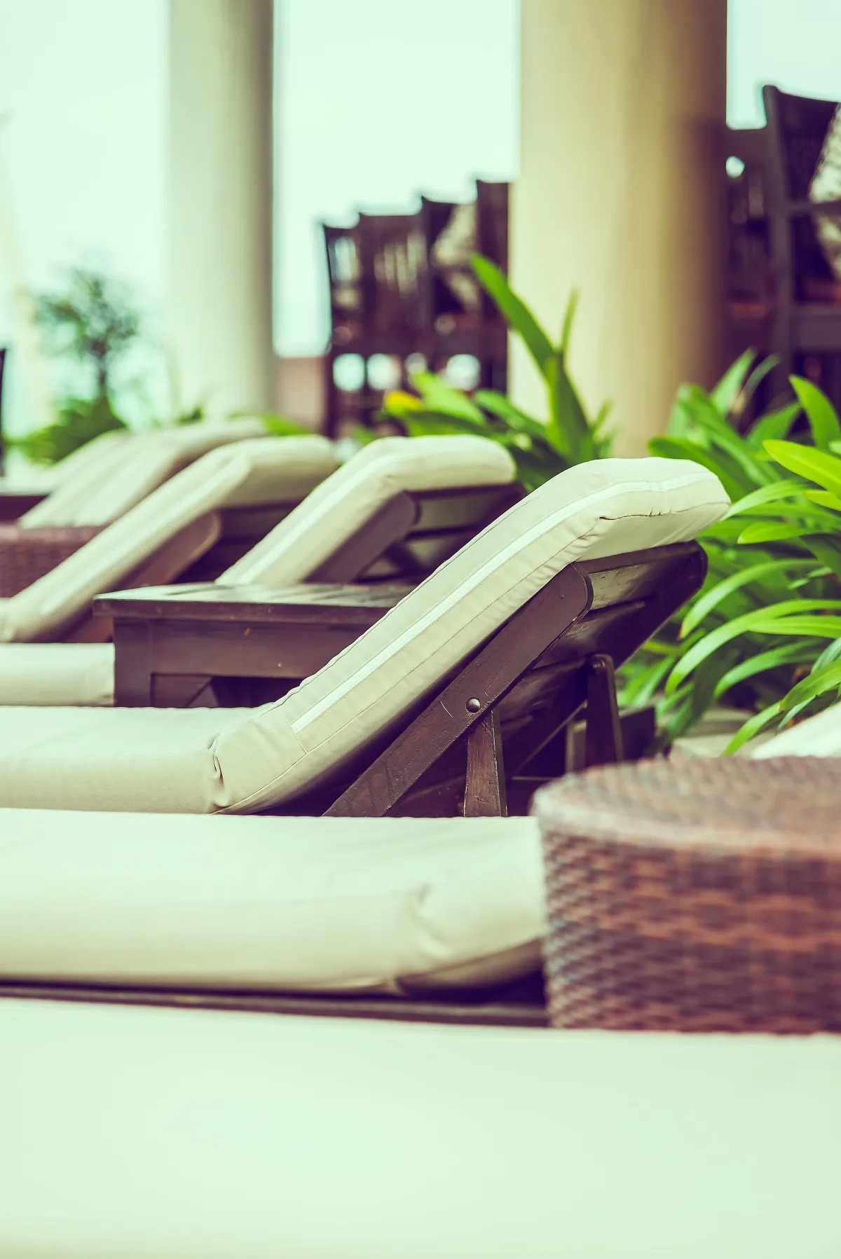 Digital Marketing & Local SEO Services for Med Spas in Miami, FL