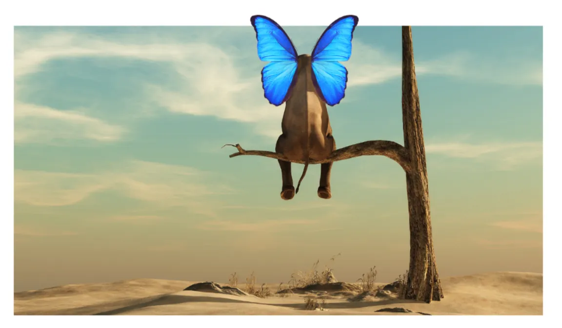 Unleashing the Elephant: Beyond the Corporate Zoo