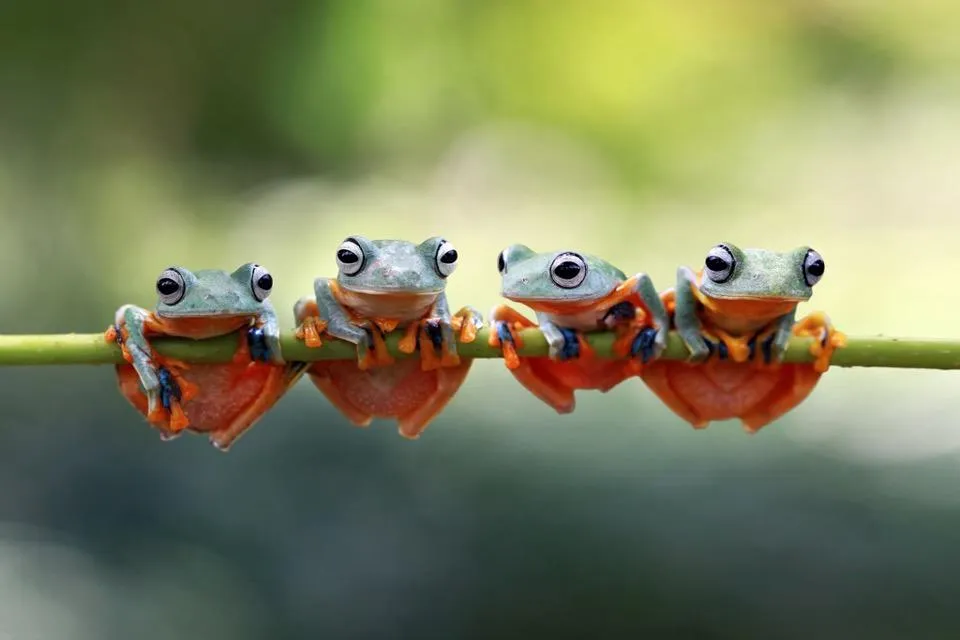 What Kept Us Safe in the History of Man Can Undermine Our Self-Confidence