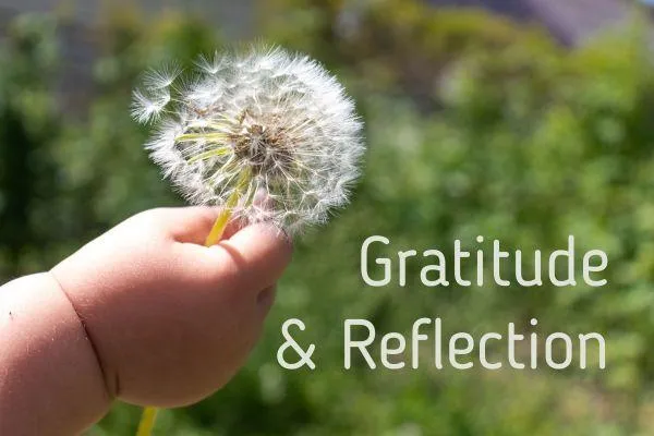 A Season of Reflection and Gratitude: How Everyday Actions Create Lasting Impact