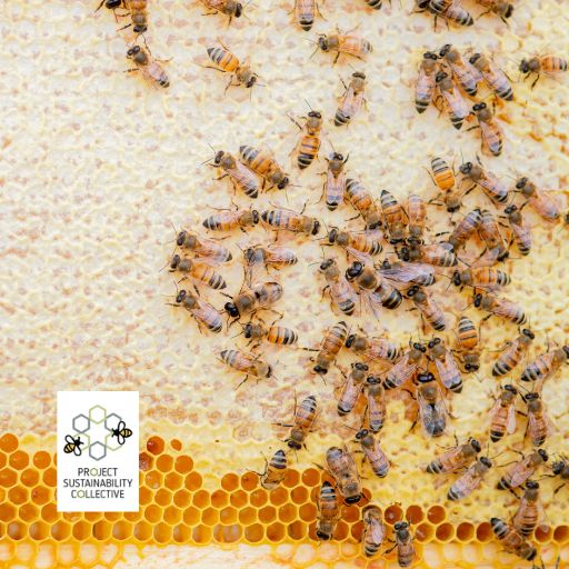 Blog 1 | The Engagement Architecture: Scaffolding for Sustainability That Sticks