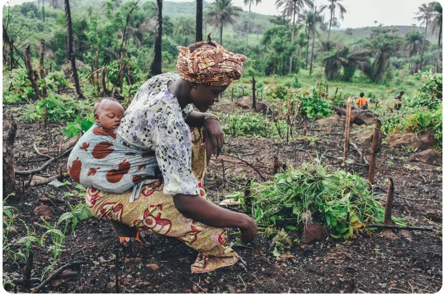 Land ownership allows for small farmers to gain more power in the economy