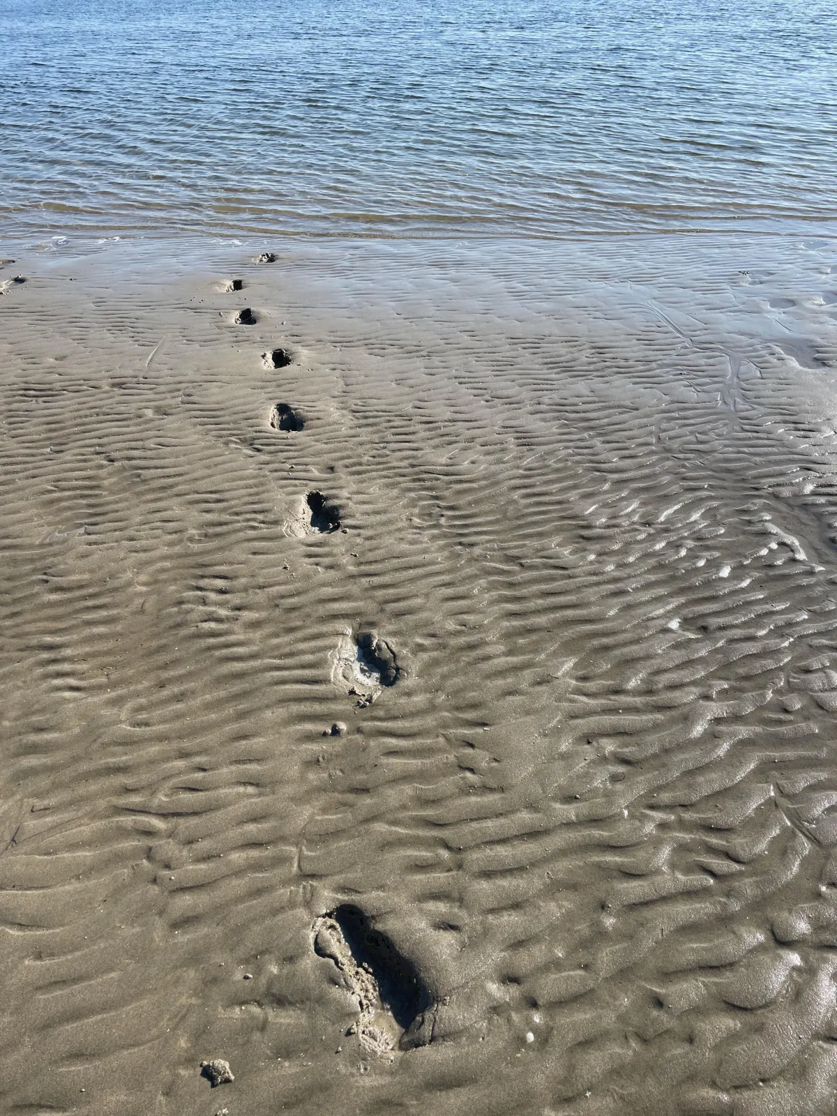 Best bewaarde geheim