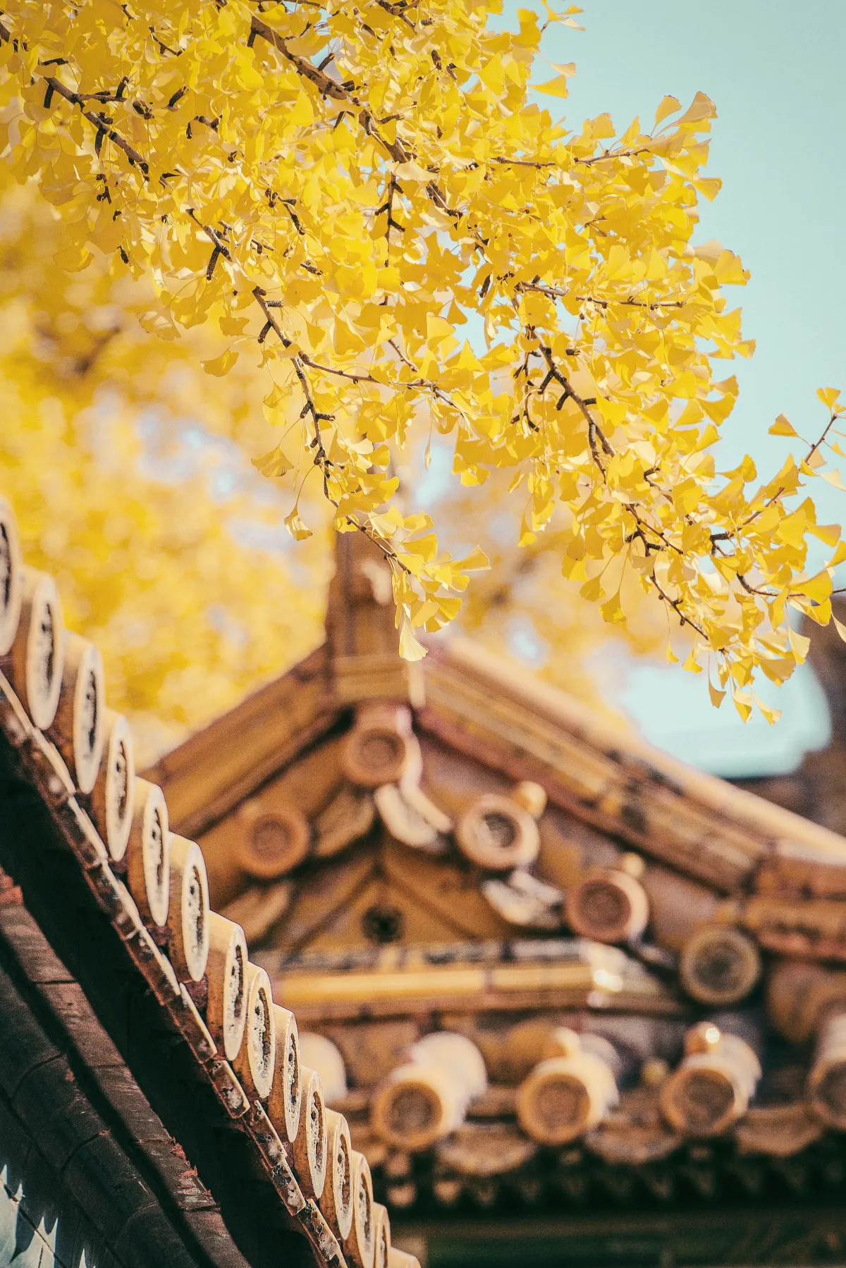 Je lichaam is de tempel van je ziel - verzorg het met respect