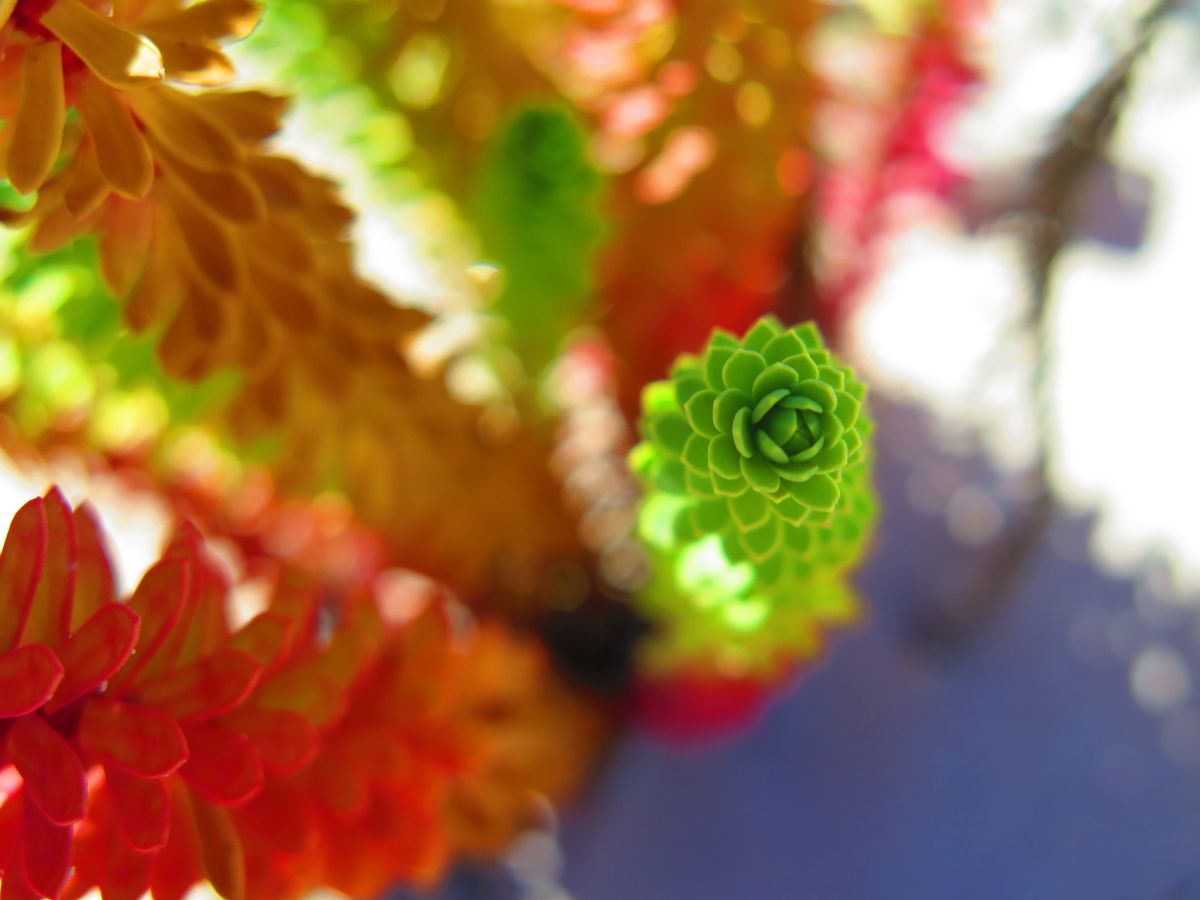 On being slow and empathic in a fast world