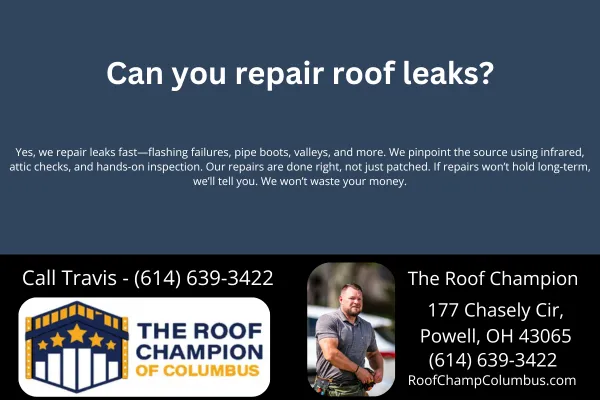 Can you repair roof leaks?