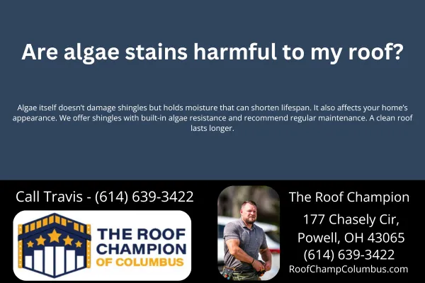 Are algae stains harmful to my roof?
