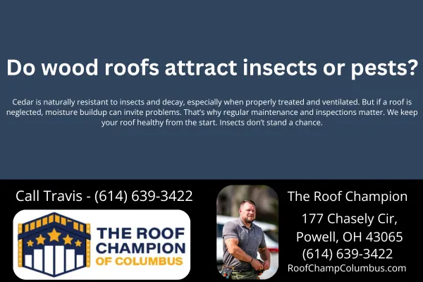 Do wood roofs attract insects or pests?